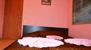 Гостиница Орбита Гатчина Двухместный номер с 1 кроватью и собственной ванной комнатой-2