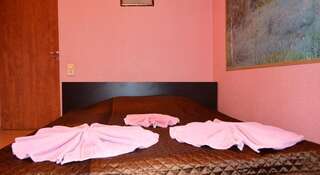Гостиница Орбита Гатчина Двухместный номер с 1 кроватью и собственной ванной комнатой-3